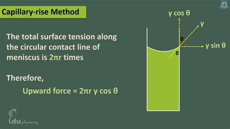 Capillary Rise Method For Surface Tension Determination Surface