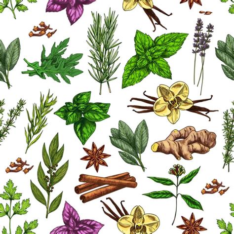 Vector Spices And Herbs Sketch Icons Of Seasonings Stock Vector By