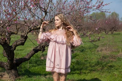 Beautiful Blonde Woman In Pink Dress Walks Through The Flowering Garden Spring Stock Photo