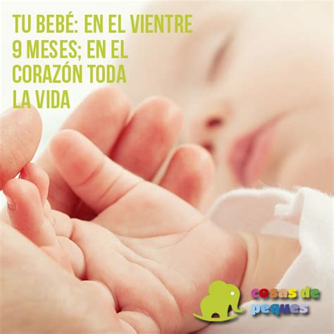 Introducir Imagen Frases Cortas Para Bebes En El Vientre Abzlocal Mx