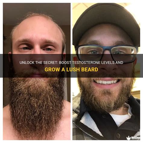 Unlock The Secret Boost Testosterone Levels And Grow A Lush Beard