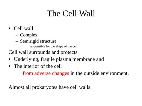 solution cell wall   structure studypool
