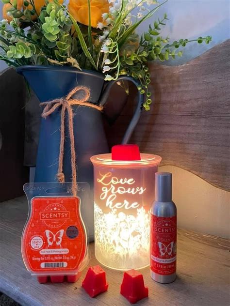 Cast Pink Warmer Scentsy
