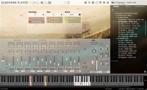 Vienna Synchron World Percussion Upgrade To Full Library Audiodeluxe