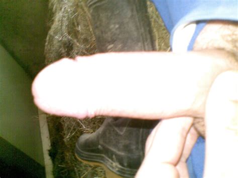 Horny Farmer In Stable Image 1844641 ThisVid Tube