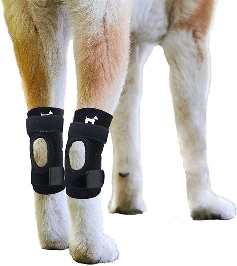 Isaiva Premium Dog Leg Braces For Back Leg Support