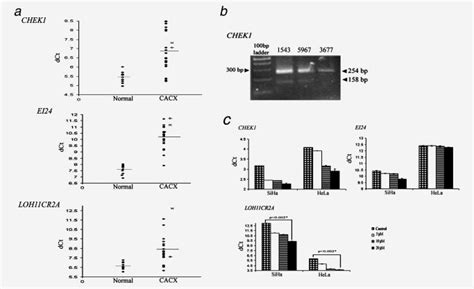 Ct Values Of The Genes Expressions In Normal Cervical Tissues Cacx