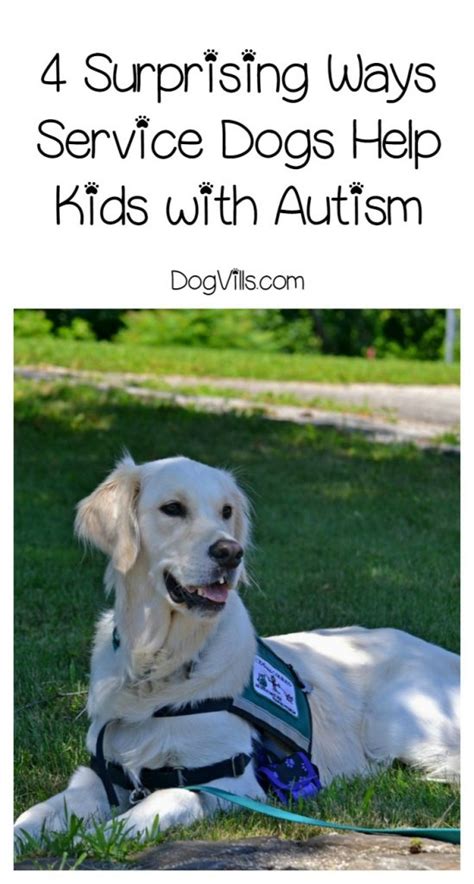 4 Amazing Ways Service Dogs Can Help Kids with Autism