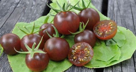 Томат Черный Черри (Black Cherry). Описание сорта, фото, отзывы