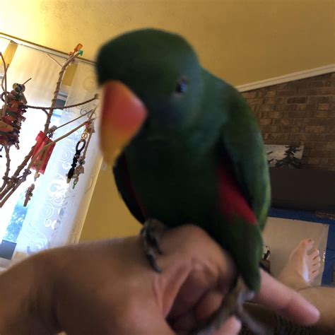 App comobituaries provide a modern way to remember those we lost 10