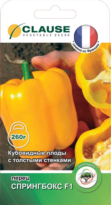 Перец сладкий "Спрингбокс F1", 5 шт. "CLAUSE", Франция: продажа, цена в ...