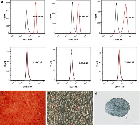 Characterization Of HDPSCs A Verification Of Cell Surface Antigen