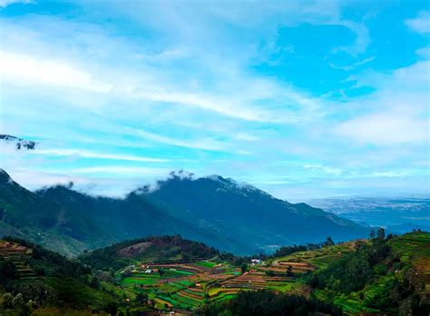 Ooty And Kodaikanal Nights Days Honeymoon Package Myholidays