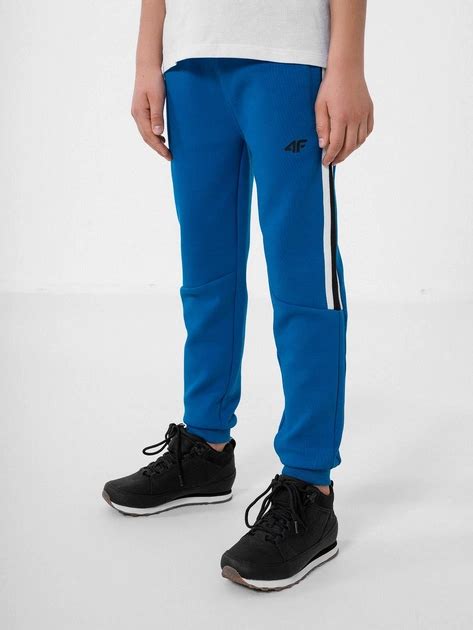 Спортивные штаны детские 4F HJZ22-JSPMD003-36S 158 см (5903609245917 ...