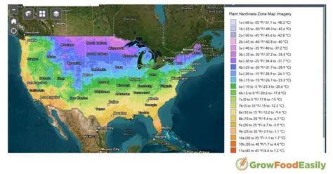 Understanding Plant Hardiness Zones A Guide For Gardeners