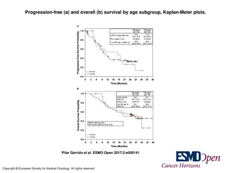 Progression Free A And Overall B Survival By Age Subgroup Kaplan