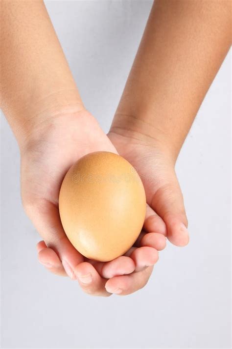 Hands Holding An Egg Stock Photo Image Of Hand Live 10971970