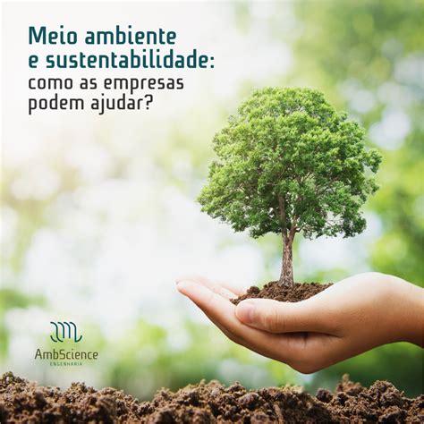 Meio Ambiente E Sustentabilidade - 8