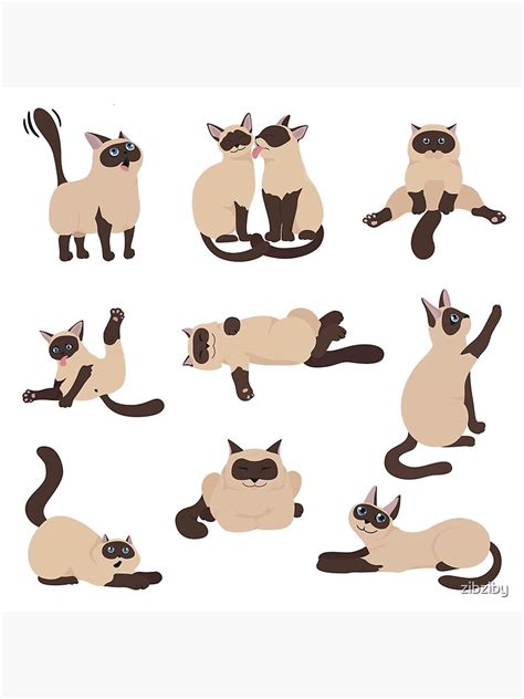 Siamese Cat Sticker Pack Poster For Sale By Zibziby Redbubble