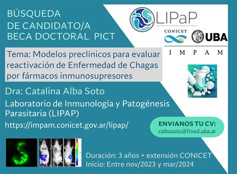 B Squeda Candidato A Beca Doctoral Pict Impam