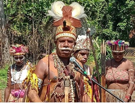 Kepala Suku Di Papua Gelar Upacara Bakar Batu Panglima Tni Turut