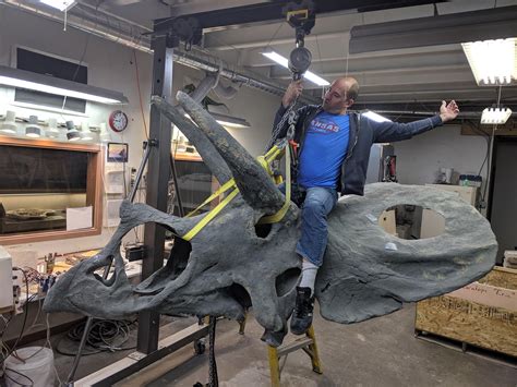 Psbattle This Guy Riding A Triceratops Rphotoshopbattles