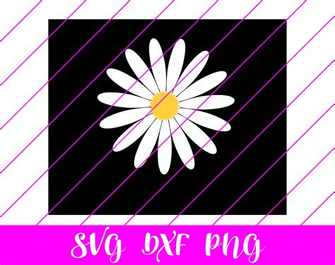 Daisy SVG - Free Daisy SVG Download - svg art