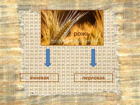 Блюда из круп - презентация онлайн