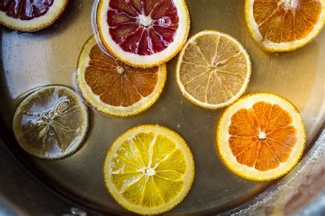 Winter Citrus Hot Toddy Salted Plains