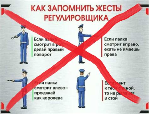 Если палка смотрит в рот... | Пикабу