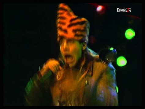 T U B E Red Hot Chili Peppers St Goarshausen DE DVDfull Pro Shot