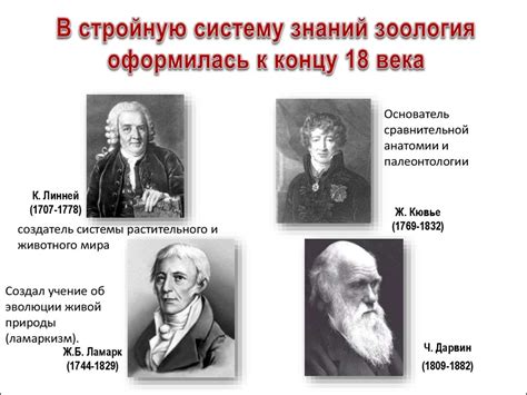 Человек и животные. Зоология - наука о животных - презентация онлайн