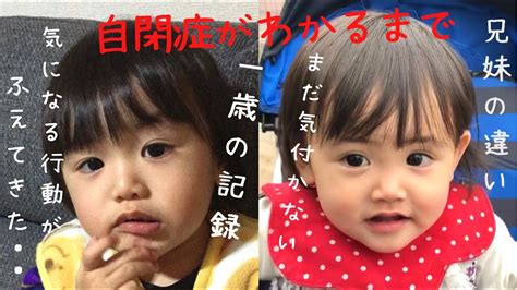 【自閉症がわかるまで】1歳半健診で引っかかっても自閉症とは思ってなかった1歳の記録・定型発達の妹との成長の違い Youtube