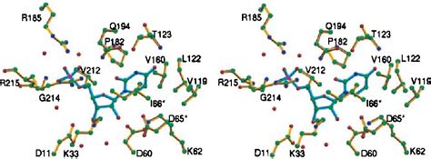 The Crystal Structure And Mechanism Of Orotidine Monophosphate