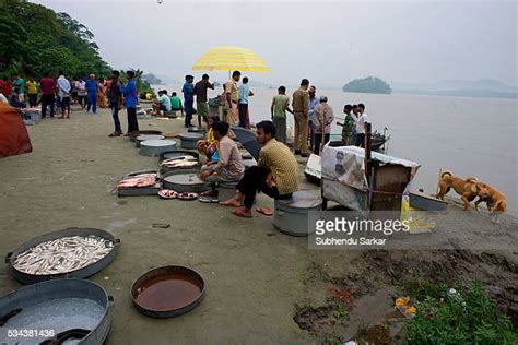 100 Brahmaputra Valley Stock Photos, High-Res Pictures, and Images ...