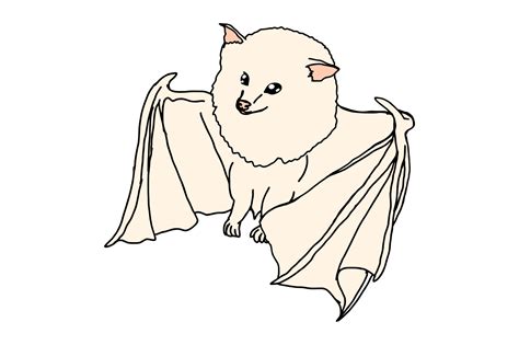 Adorable Albino Bat Flying 21170157 Png