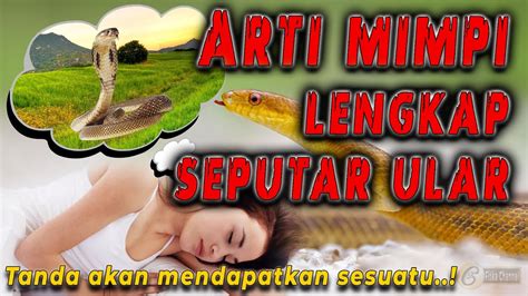 Arti Mimpi Ular Lengkap Pertanda Akan Mendapatkan Sesuatu Tafsir