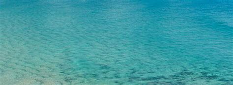 World Naked Bike Ride Byron Bay Byron Naturists