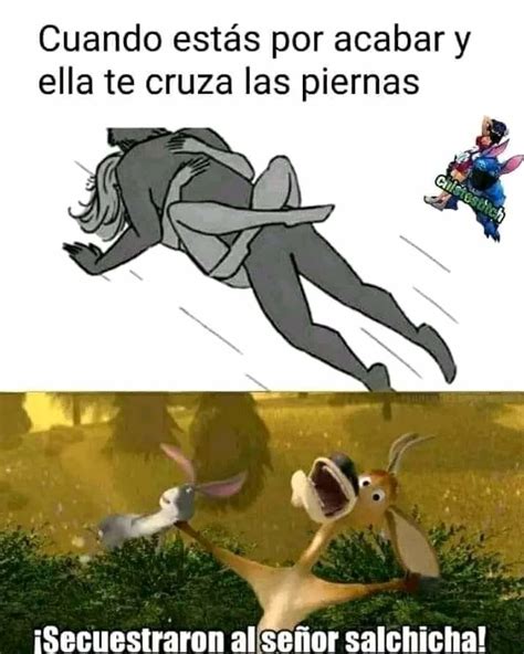 Adiós señor salchicha Dile hola al nuevo bebé Meme subido por