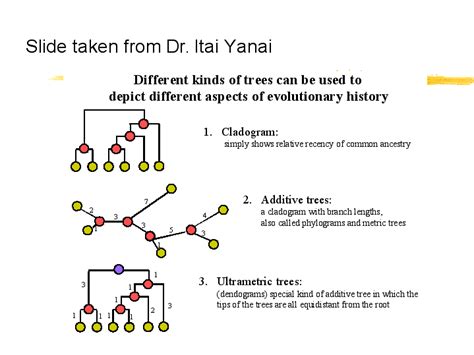 Slide Taken From Dr Itai Yanai