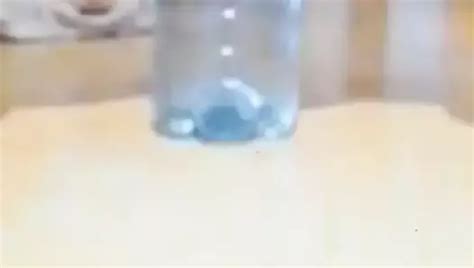 Macarena Inserting A Bottle Of Water Into My Ass Gay Xhamster