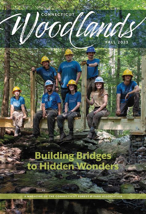 Connecticut Woodlands Fall 2023, Building Bridges to Hidden Wonders by
