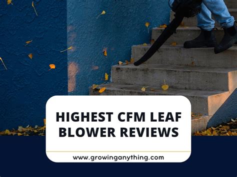 Top 15 Highest CFM Leaf Blower To Buy in 2024