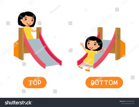 78 Top Bottom Comparison Images Stock Photos Vectors Shutterstock