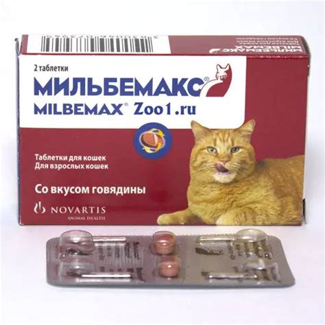 Мильбемакс для кошек: отзывы, инструкция по применению, противопоказания