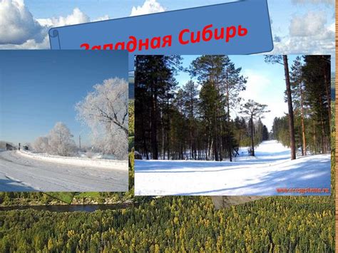 Западная Сибирь - презентация онлайн