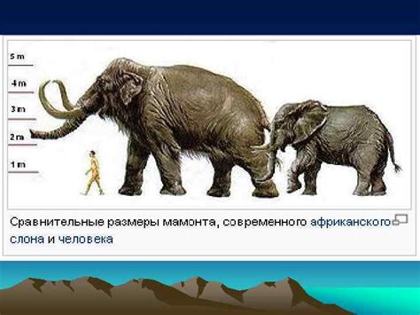 Мамонты Виды мамонтов Мамонт