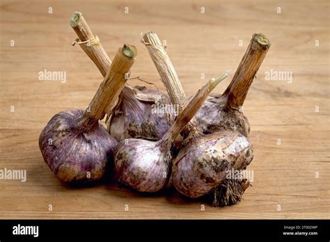 Drying Whole Garlic Cloves Stock Photo Alamy