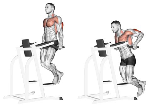 Dips Hurt Shoulders 6 Potential Reasons Inspire Us
