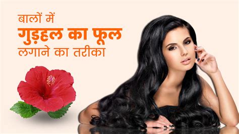 Gudhal Flower Benefits For Hair In Hindi Best Flower Site